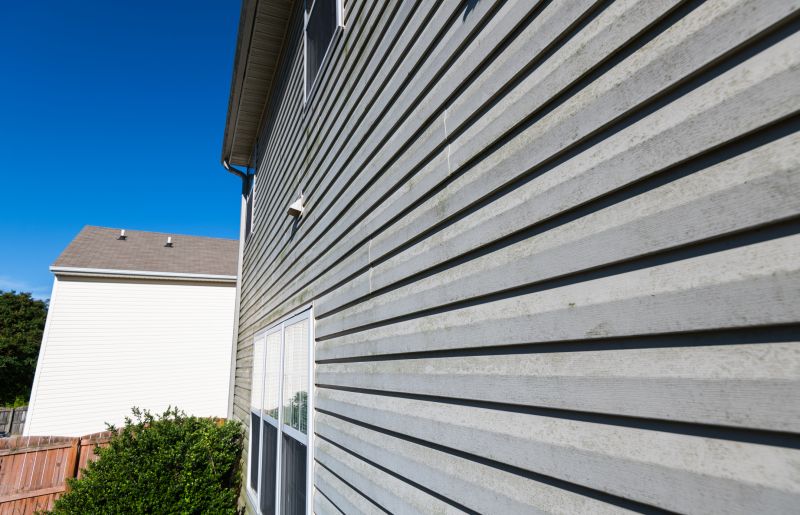 Siding Panel Replacement