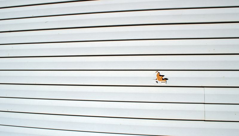 Repaired Vinyl Siding